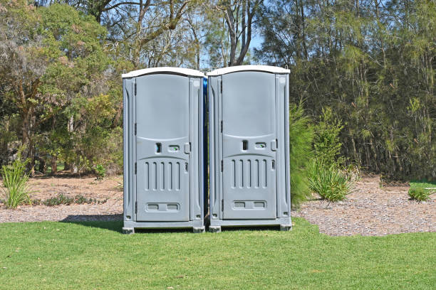 Best Portable Toilets with Baby Changing Stations  in Sandoval, IL