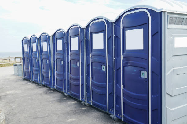 Best Standard Portable Toilet Rental  in Sandoval, IL